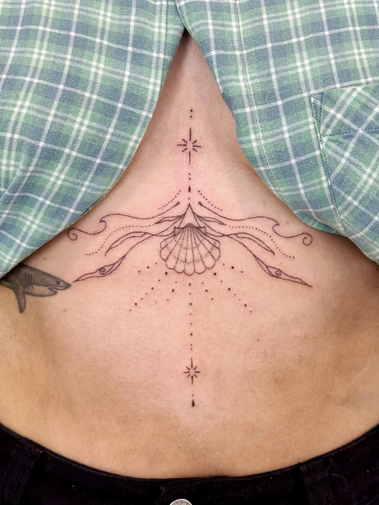 Noni Ocean Sternum.jpg