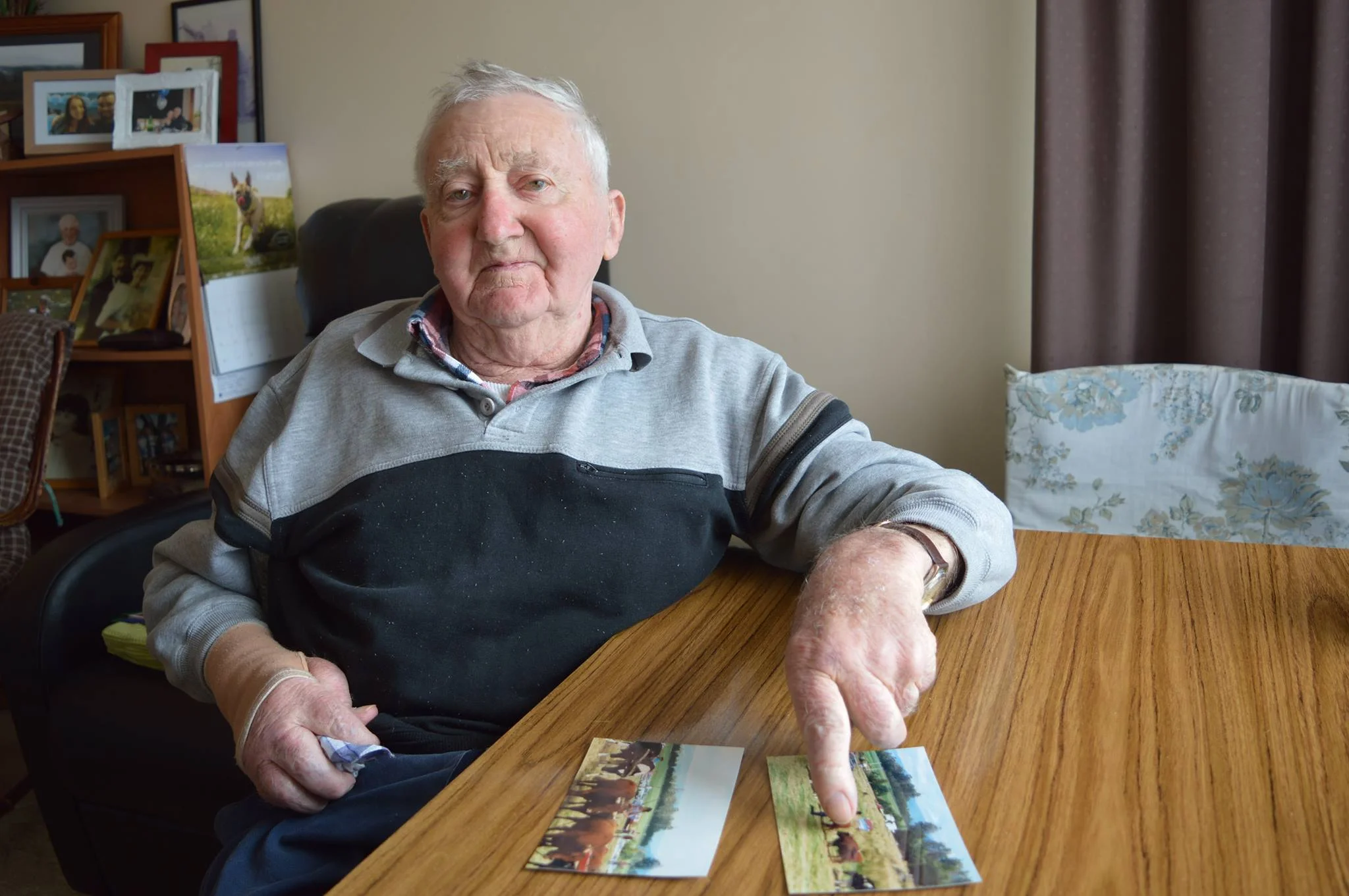 Rusty Richards recounts fond memories of a bullock league display in 1995