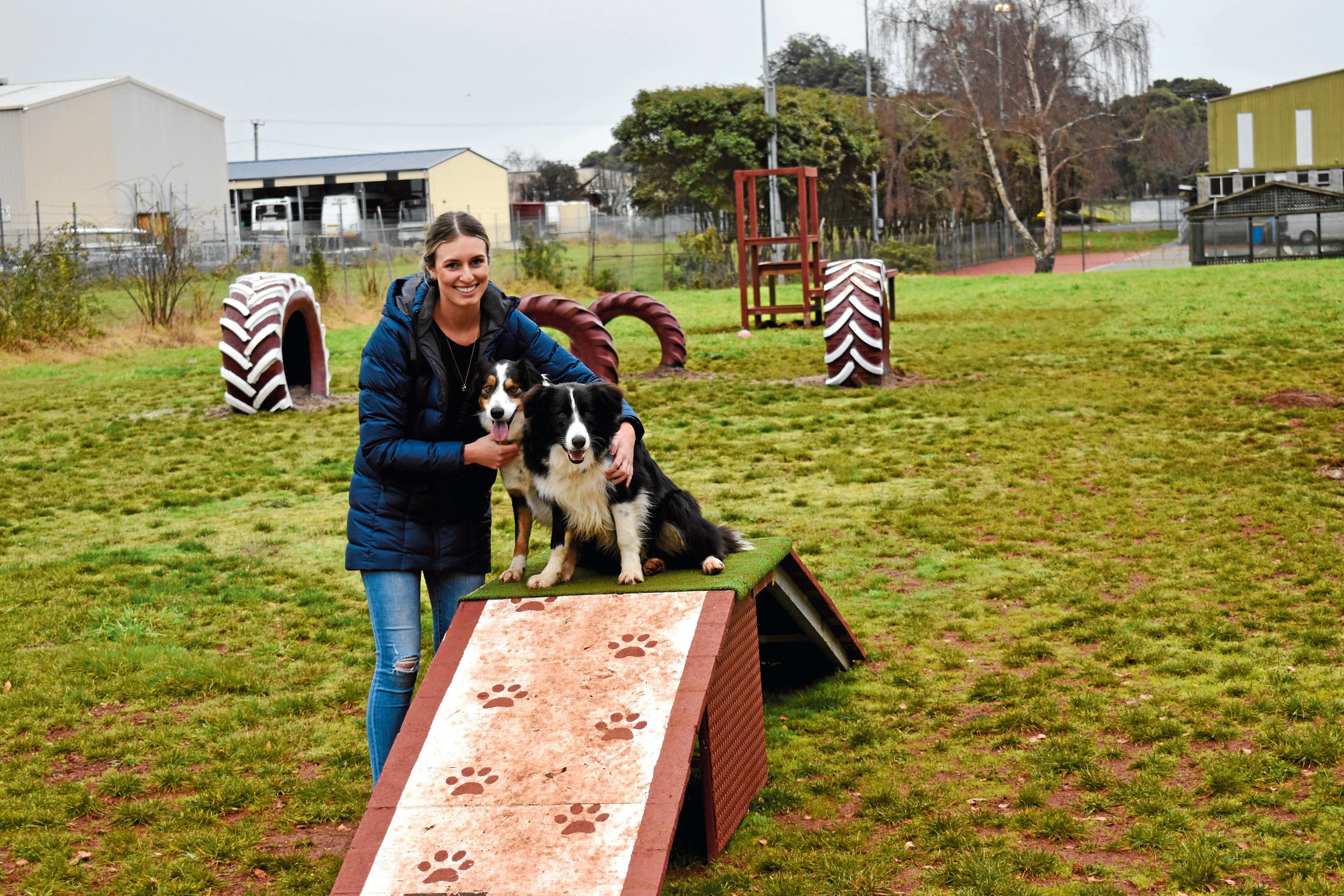 Dog’s day out with new upgrade