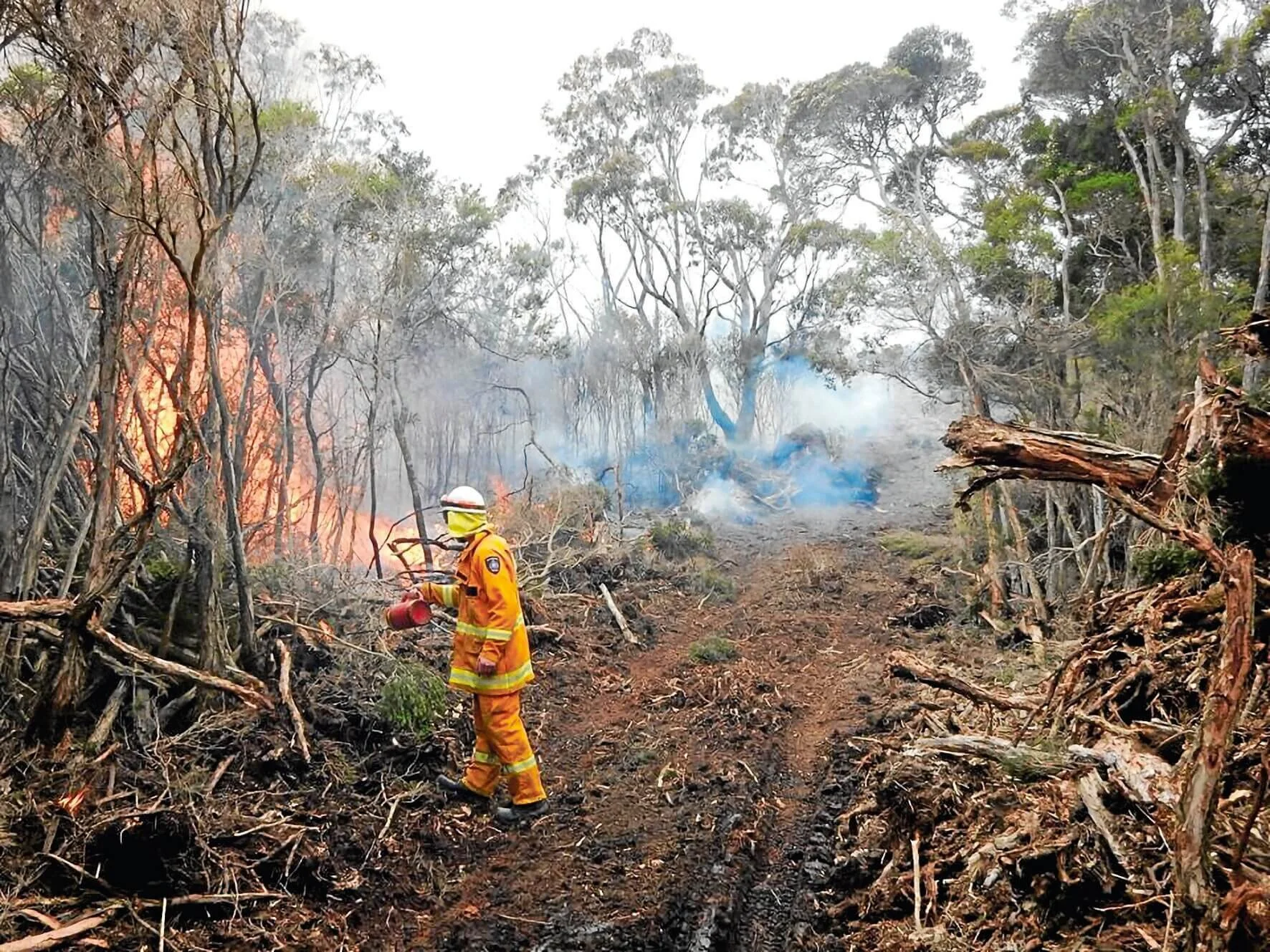 Are you bushfire ready?