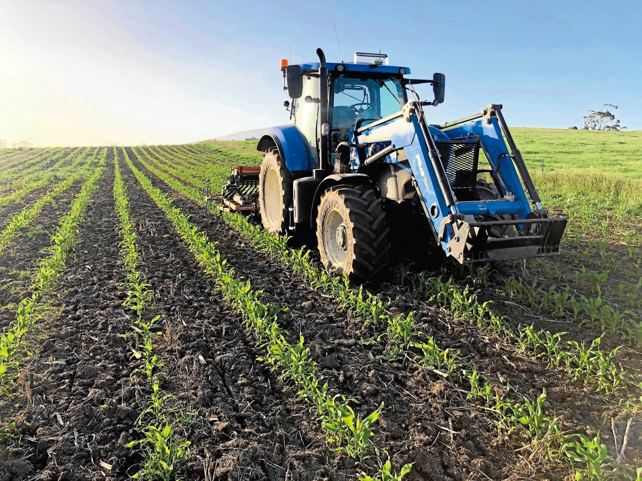 Farming for the future