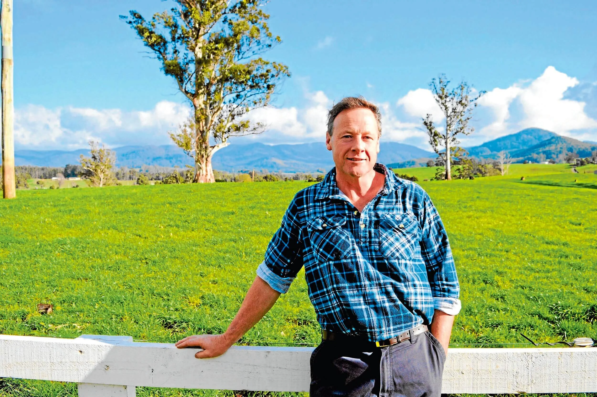 Conservative opening milk price