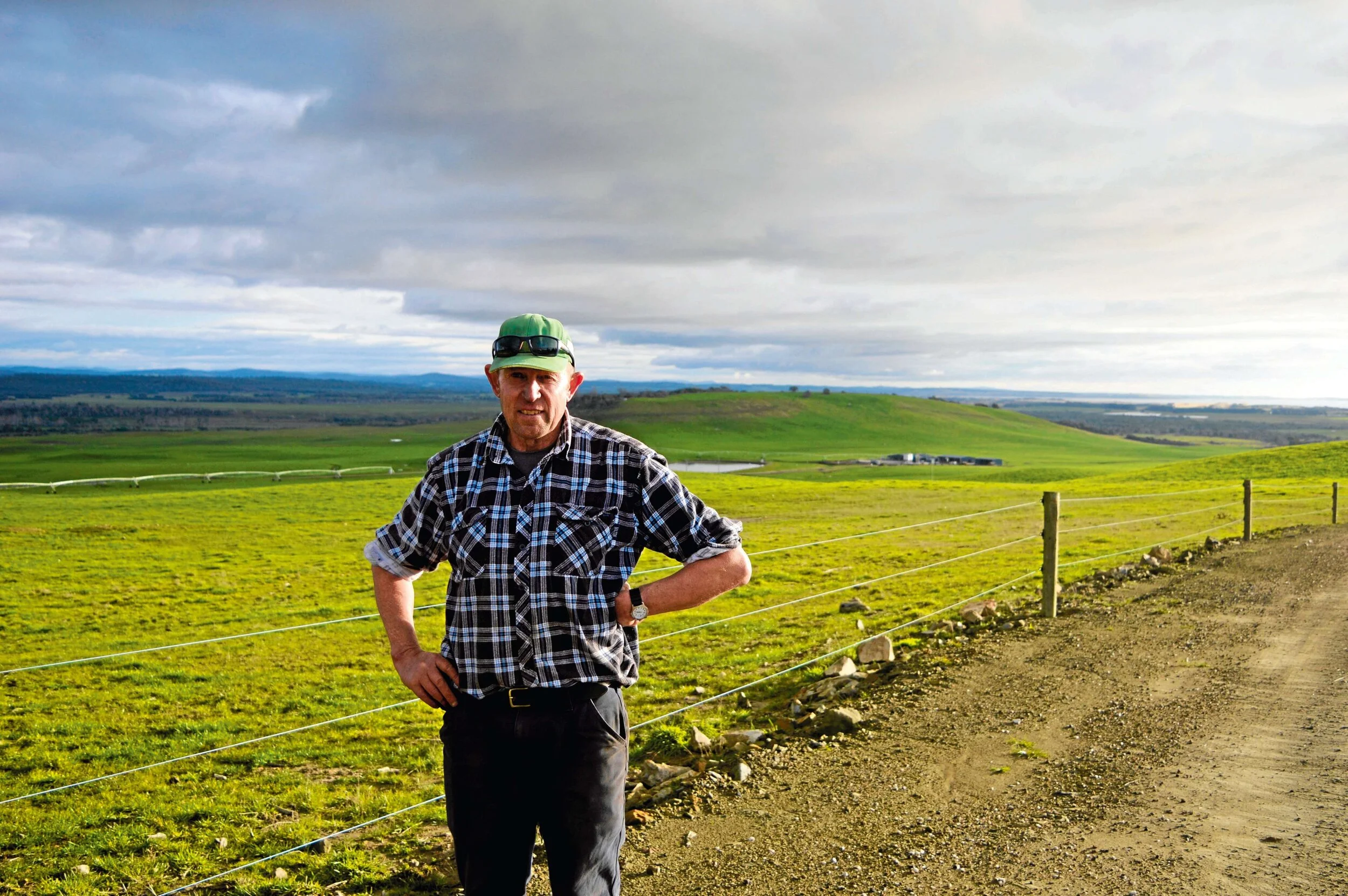 Waterhouse dairies sold