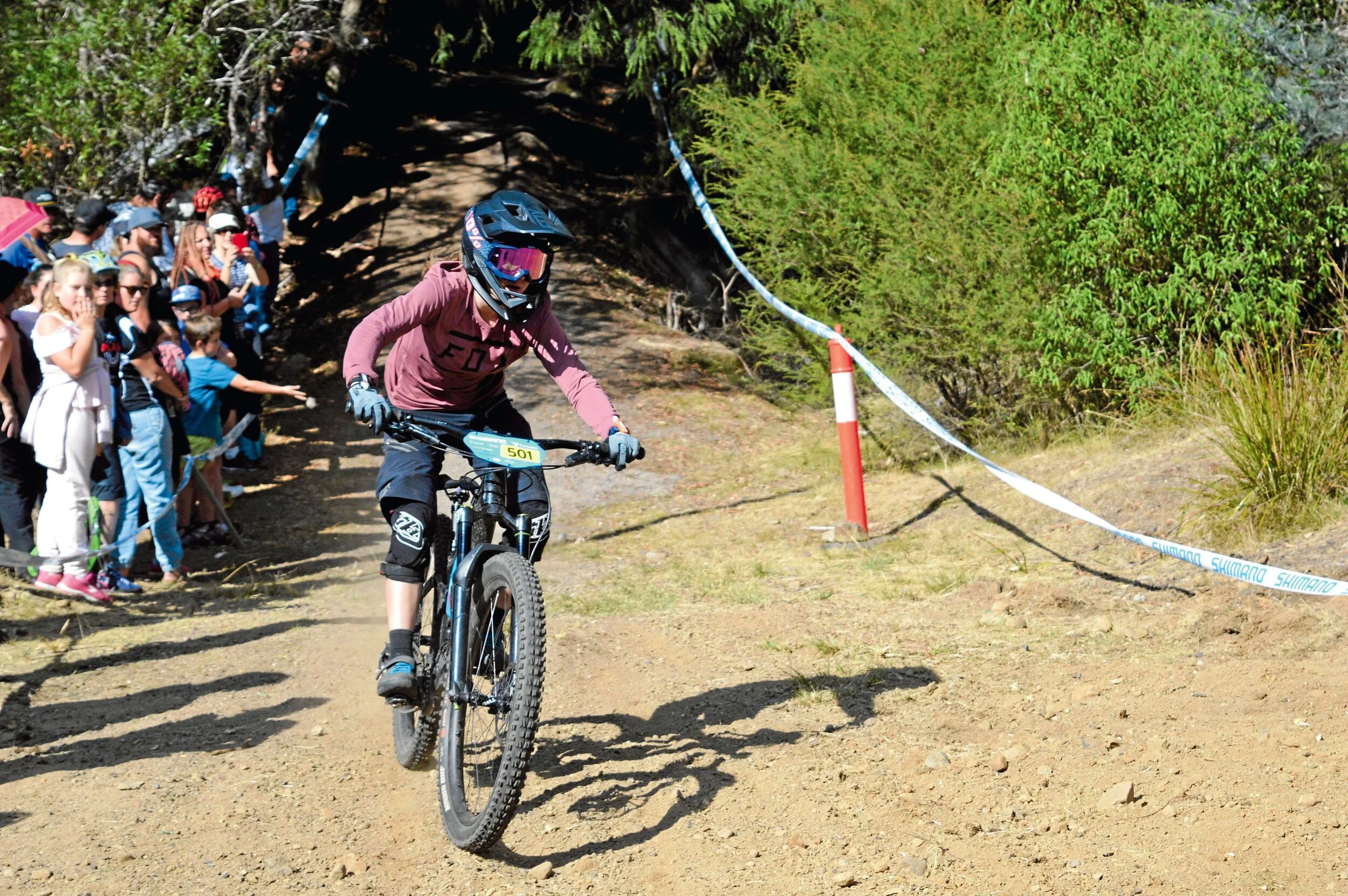 EWS on pause for a year 
