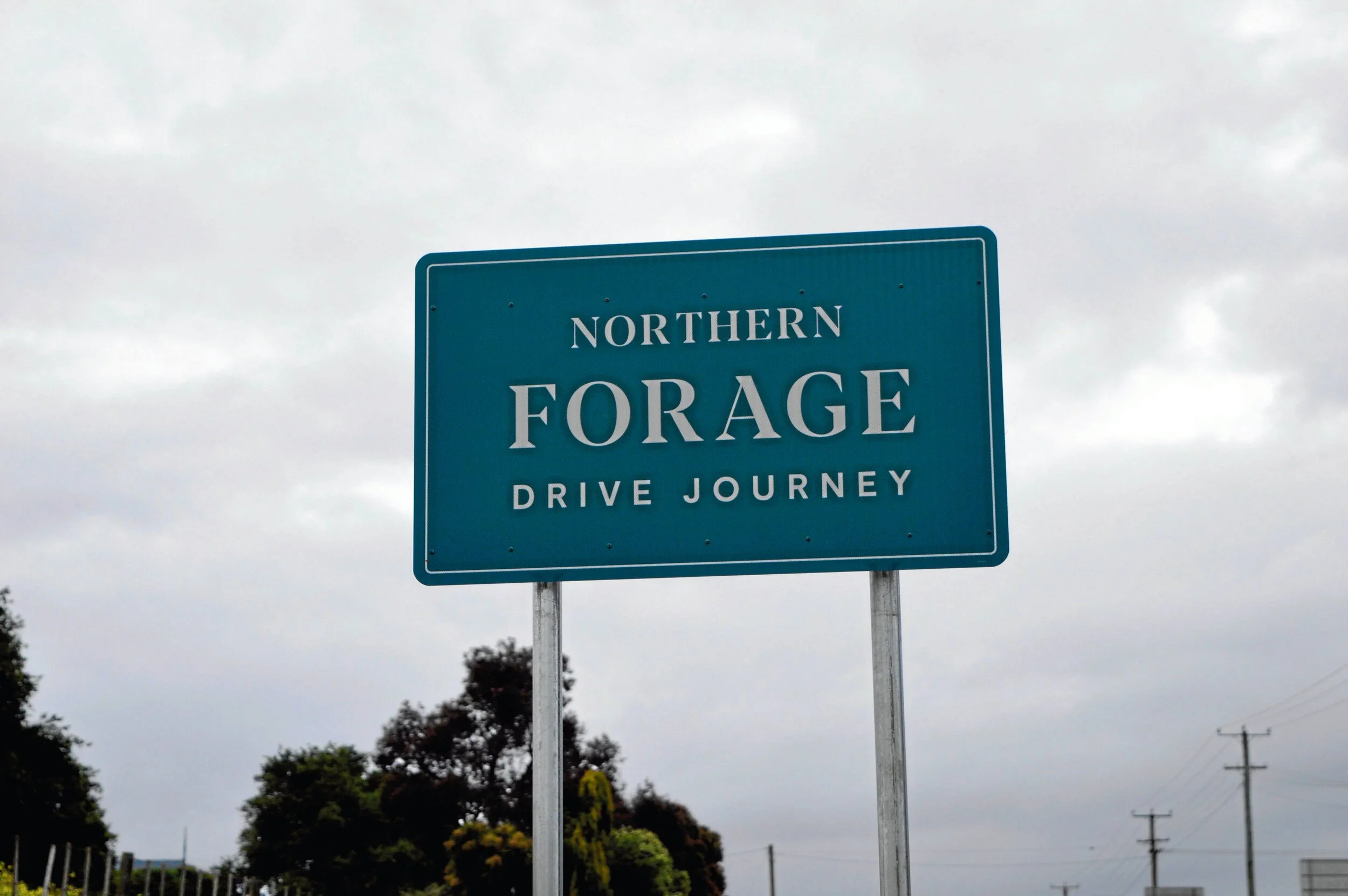 New signs connect a journey