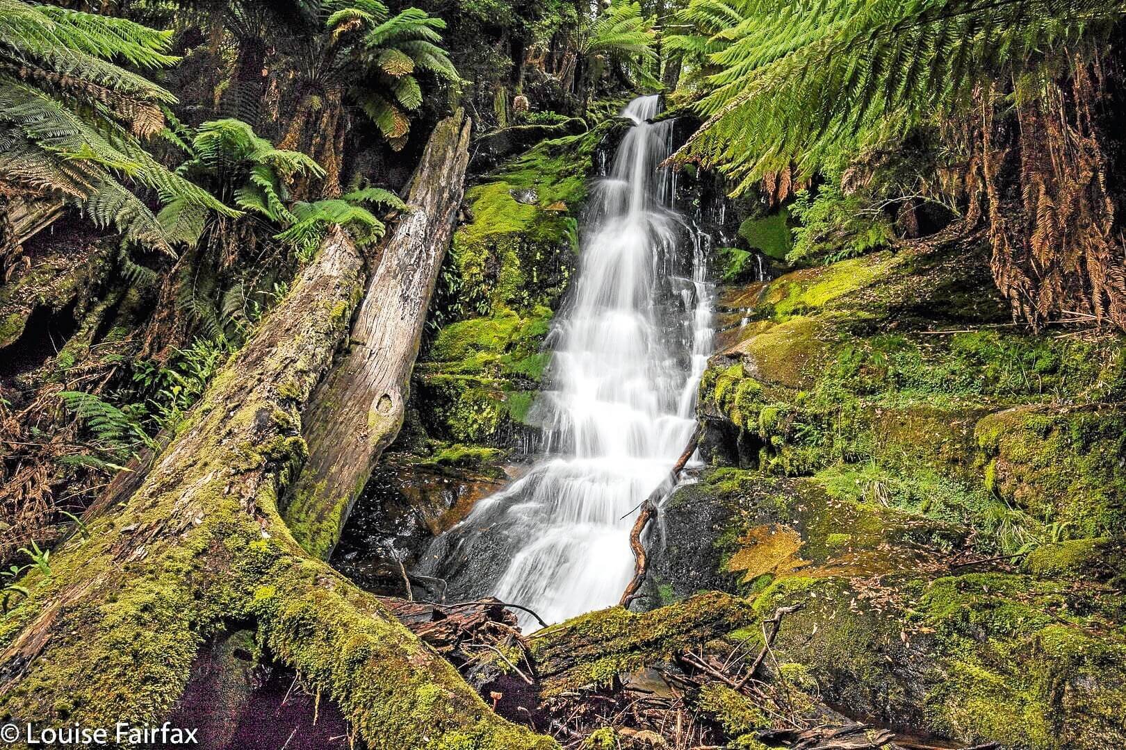 Cuckoo Falls closure questioned