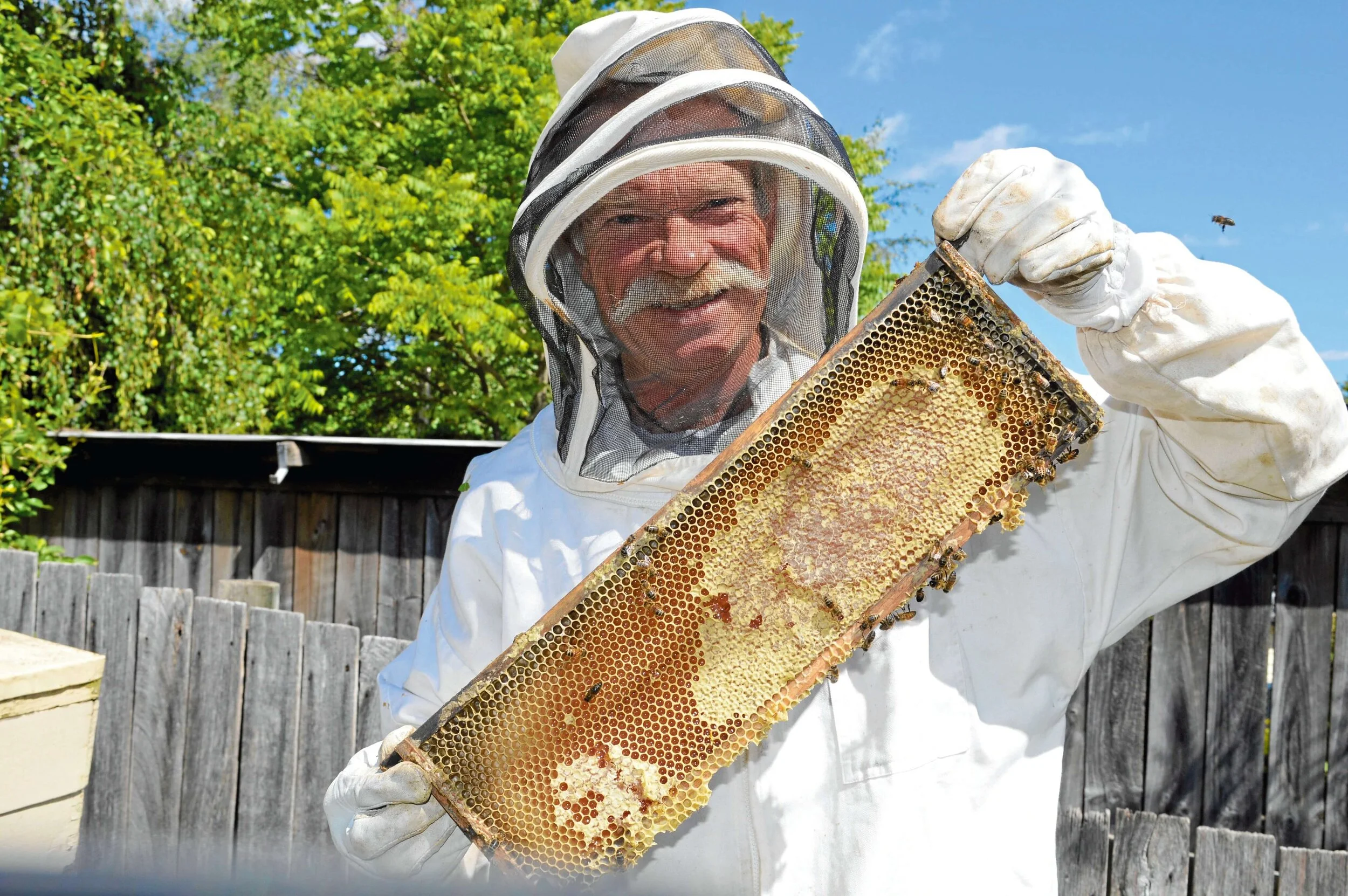 Branxholm's beekeeper