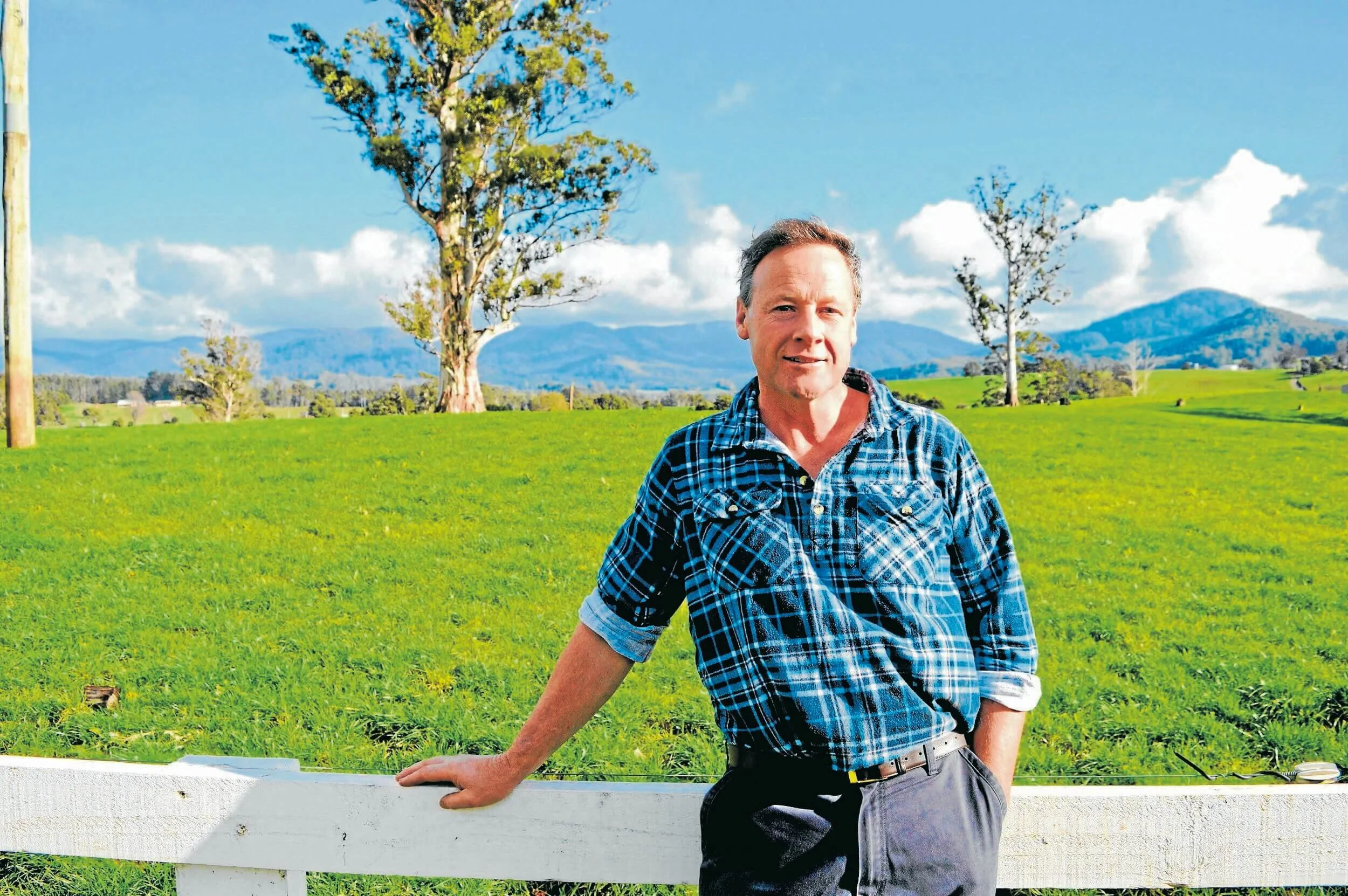 Cow confidence with milk price