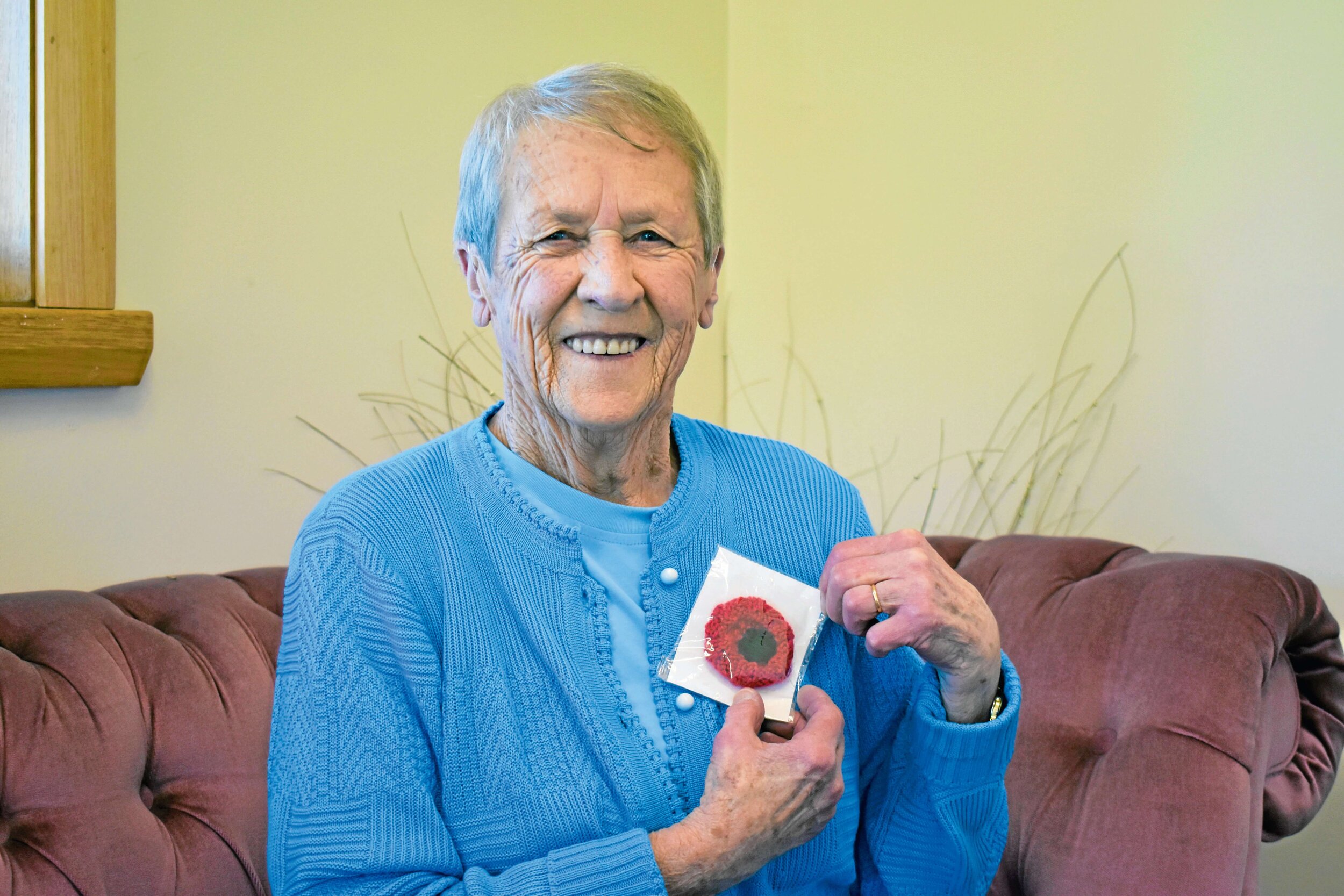 Remembrance poppies for charity