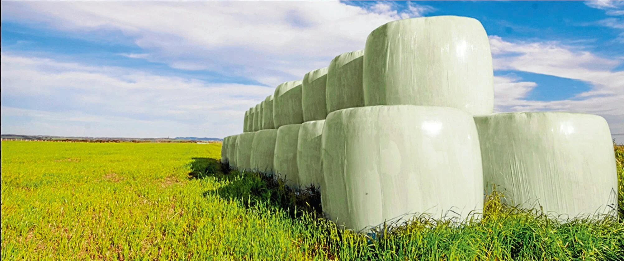 Plastic processor closes