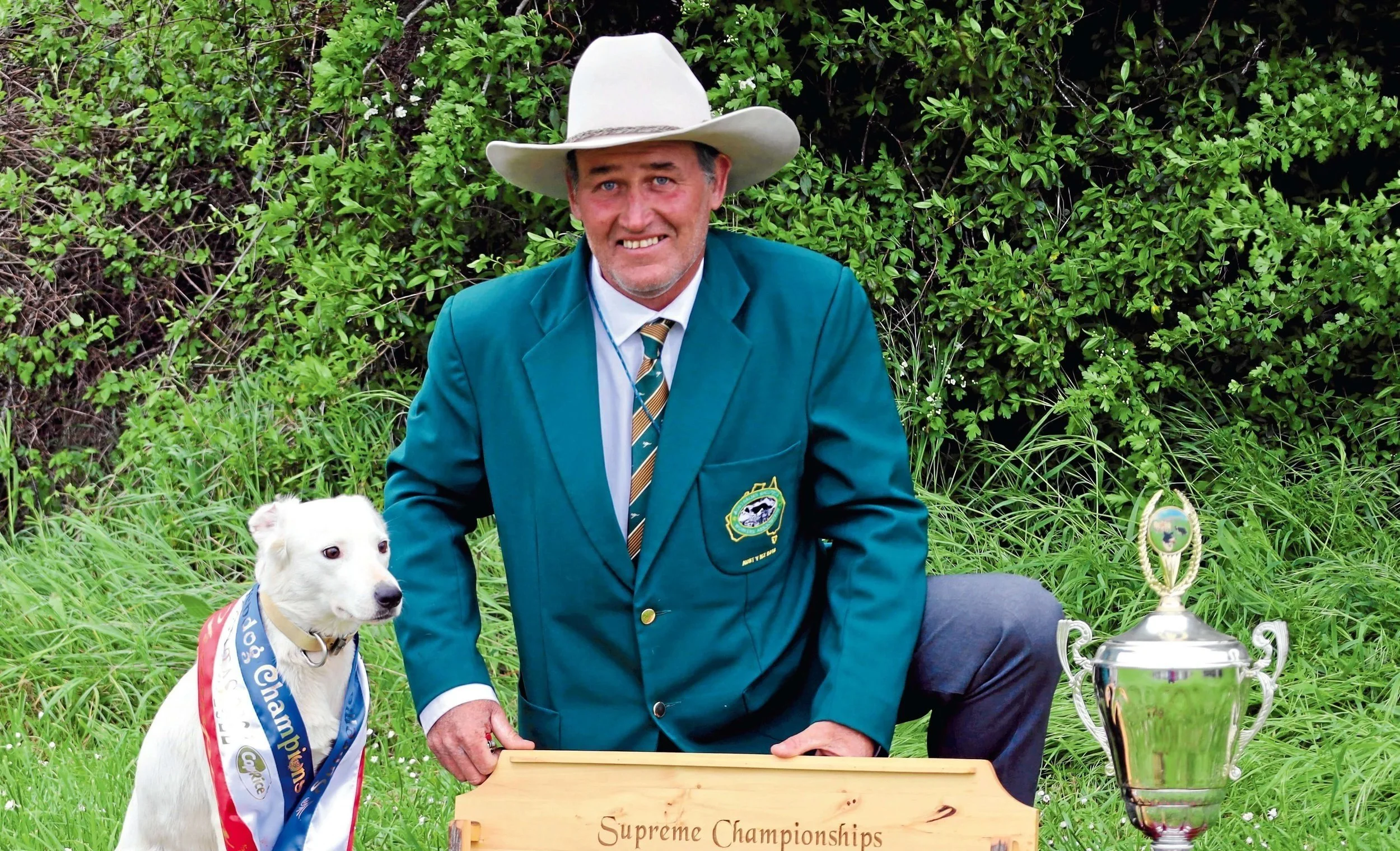 Sheep dog trials back in town