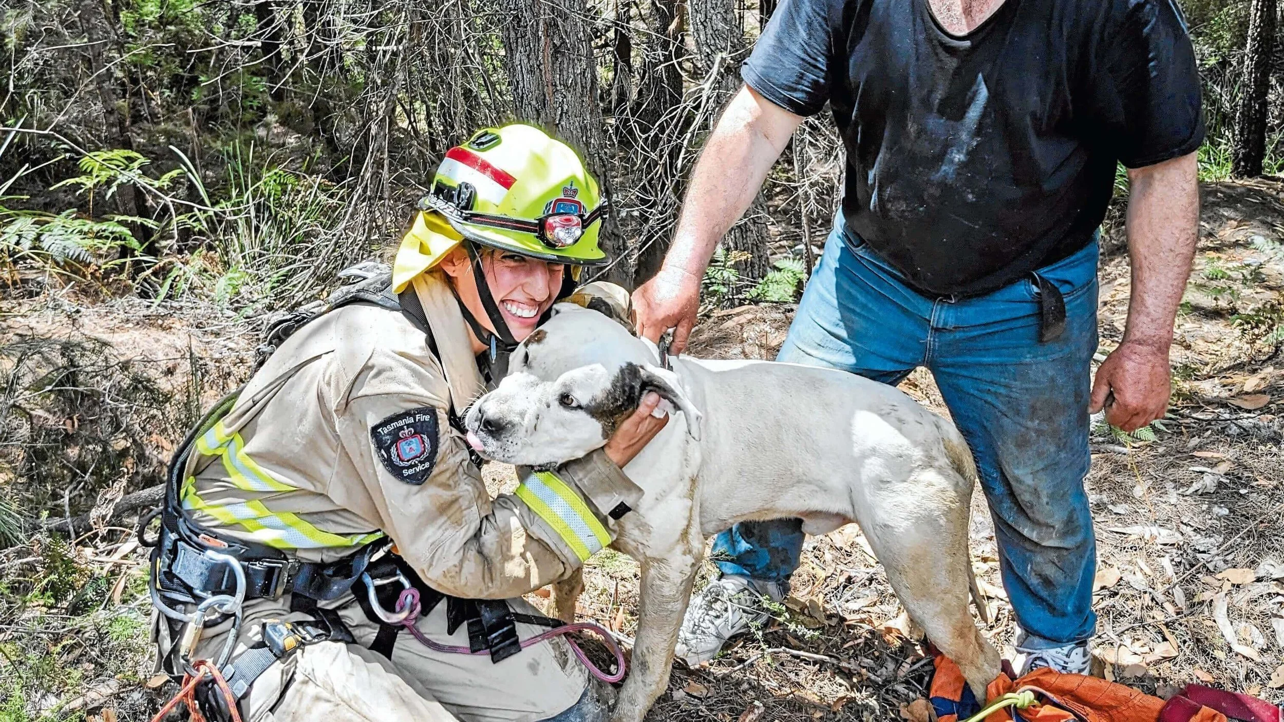 Pooch rescued in Pipers River