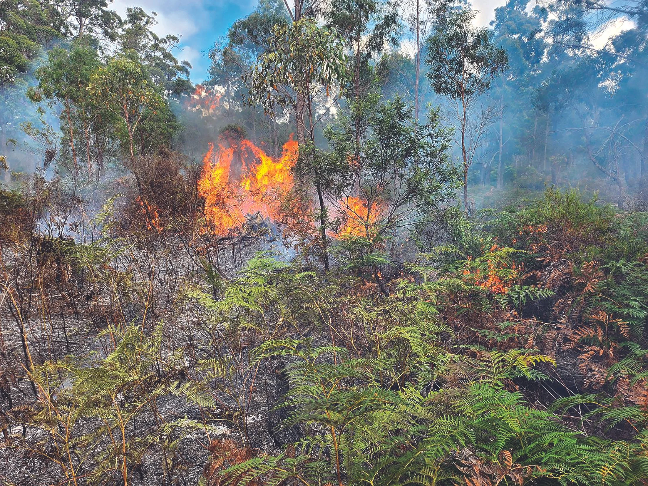 Arson accusations - four North-East fires “suspicious”