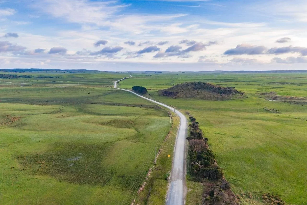 Rushy “rat” with forestry plan