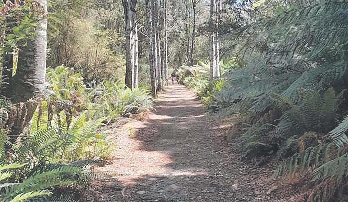 U-turn on NE Rail Trail 