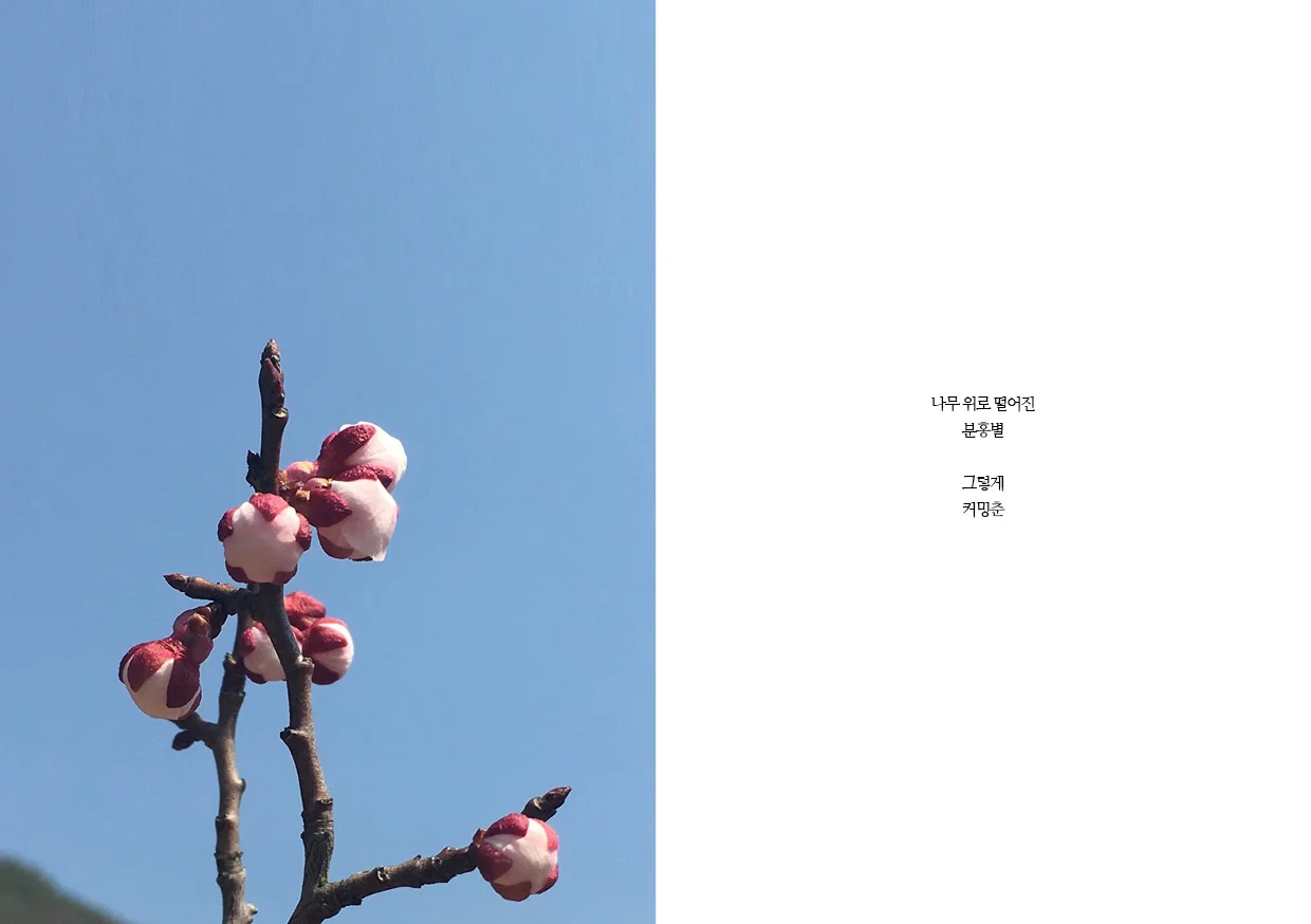 우주그지종합본_17081459.jpg