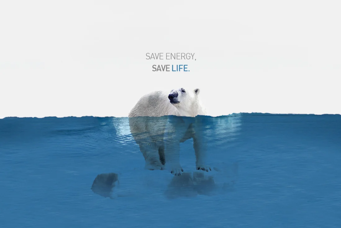 project cover.jpg