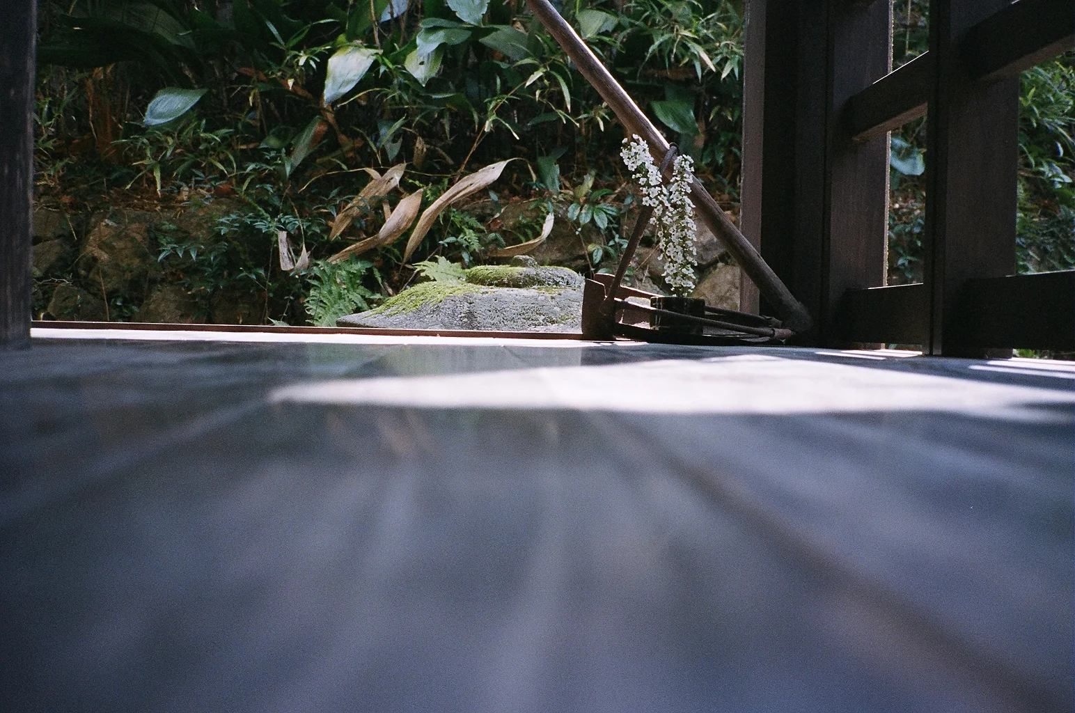 58320019.JPG
