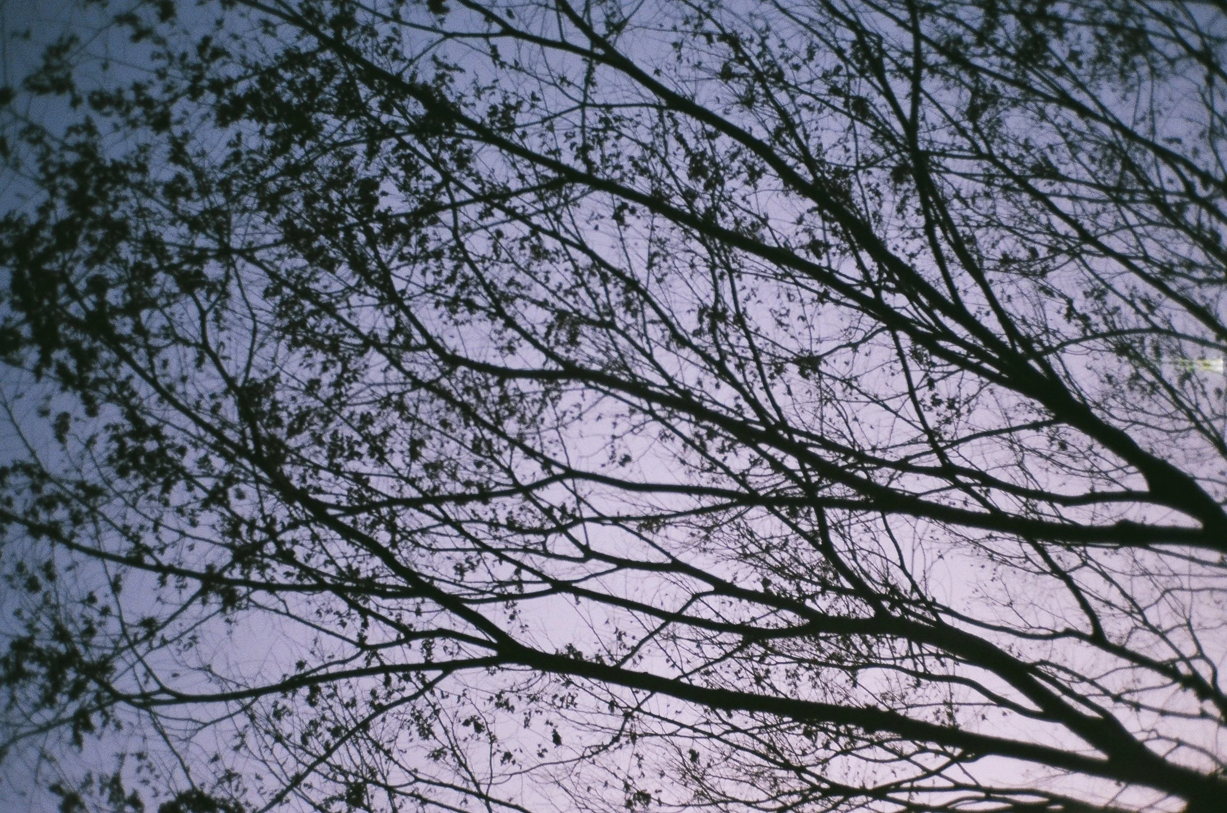 07870012.JPG