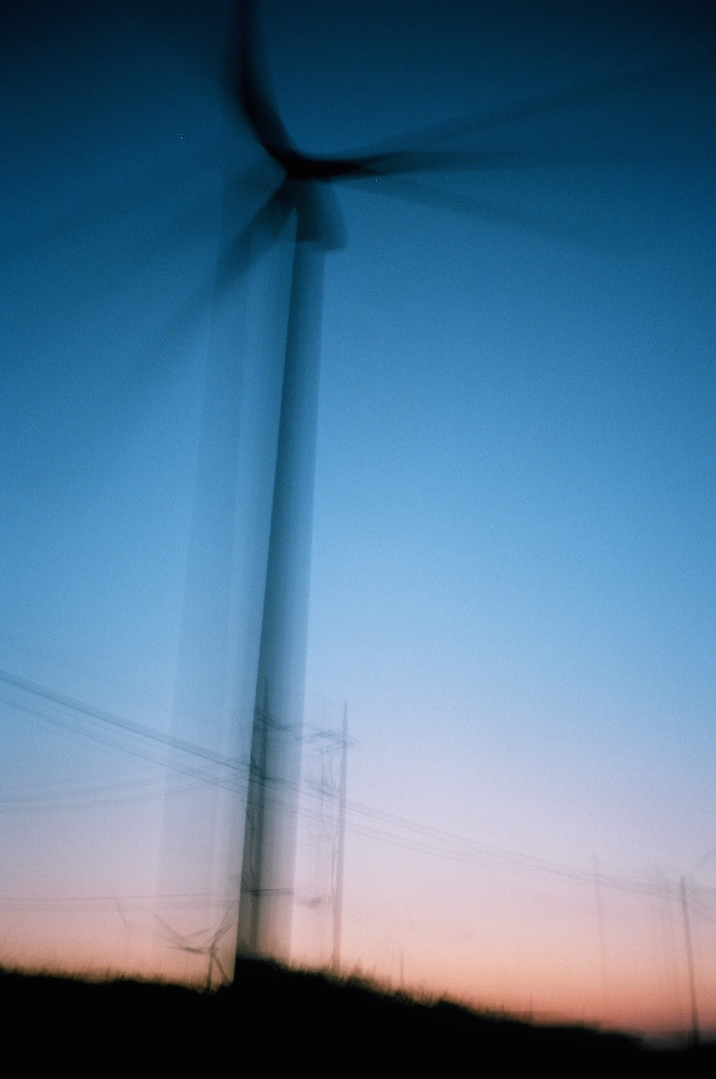 25090030.JPG