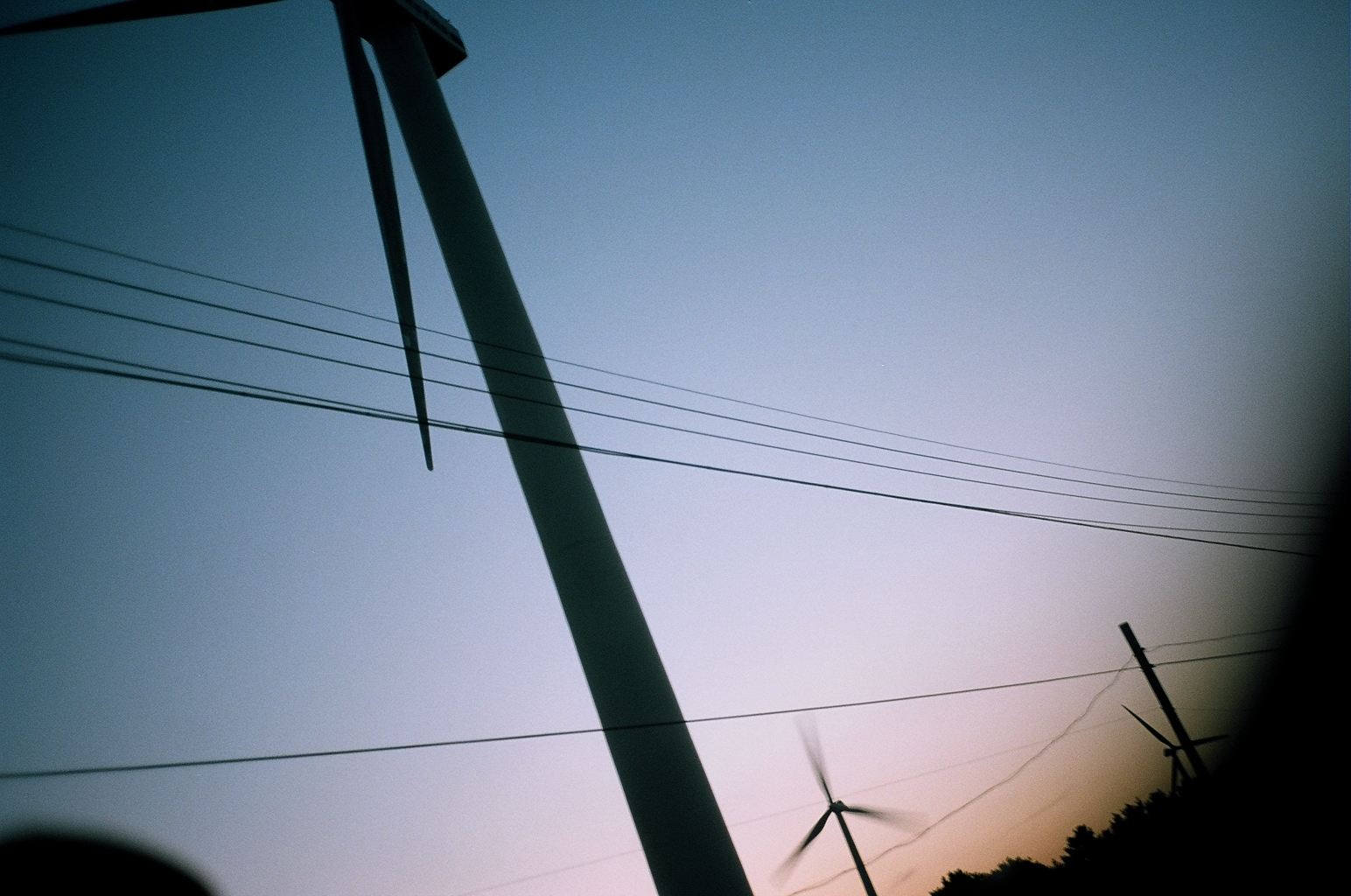 25090026.JPG