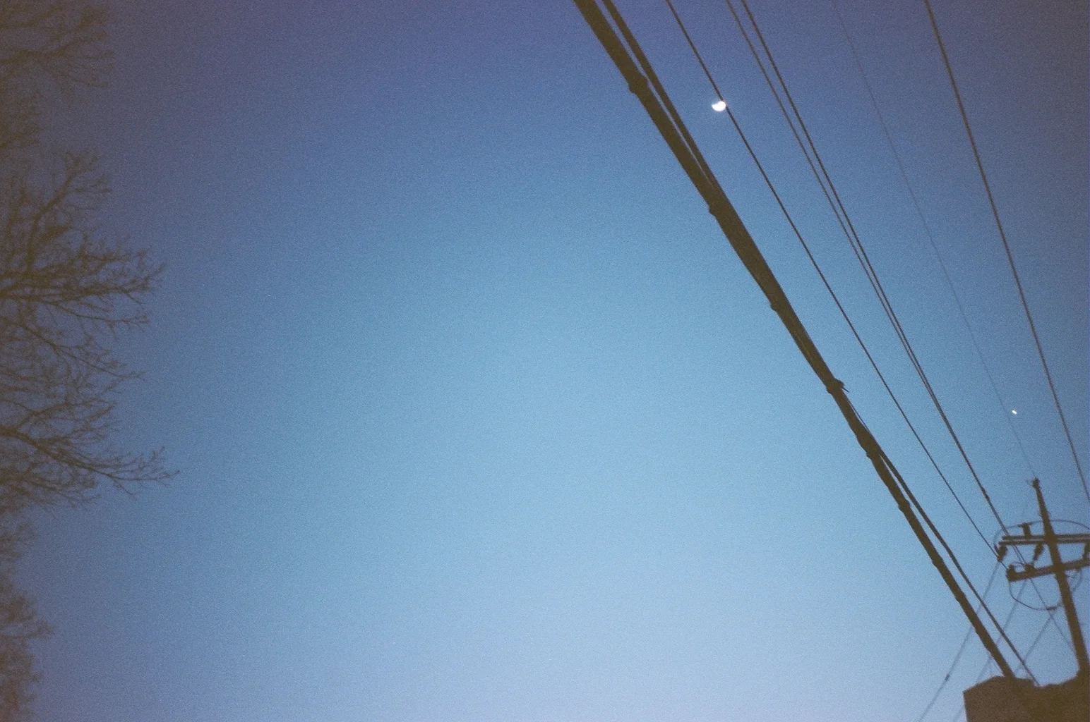 51410015.JPG