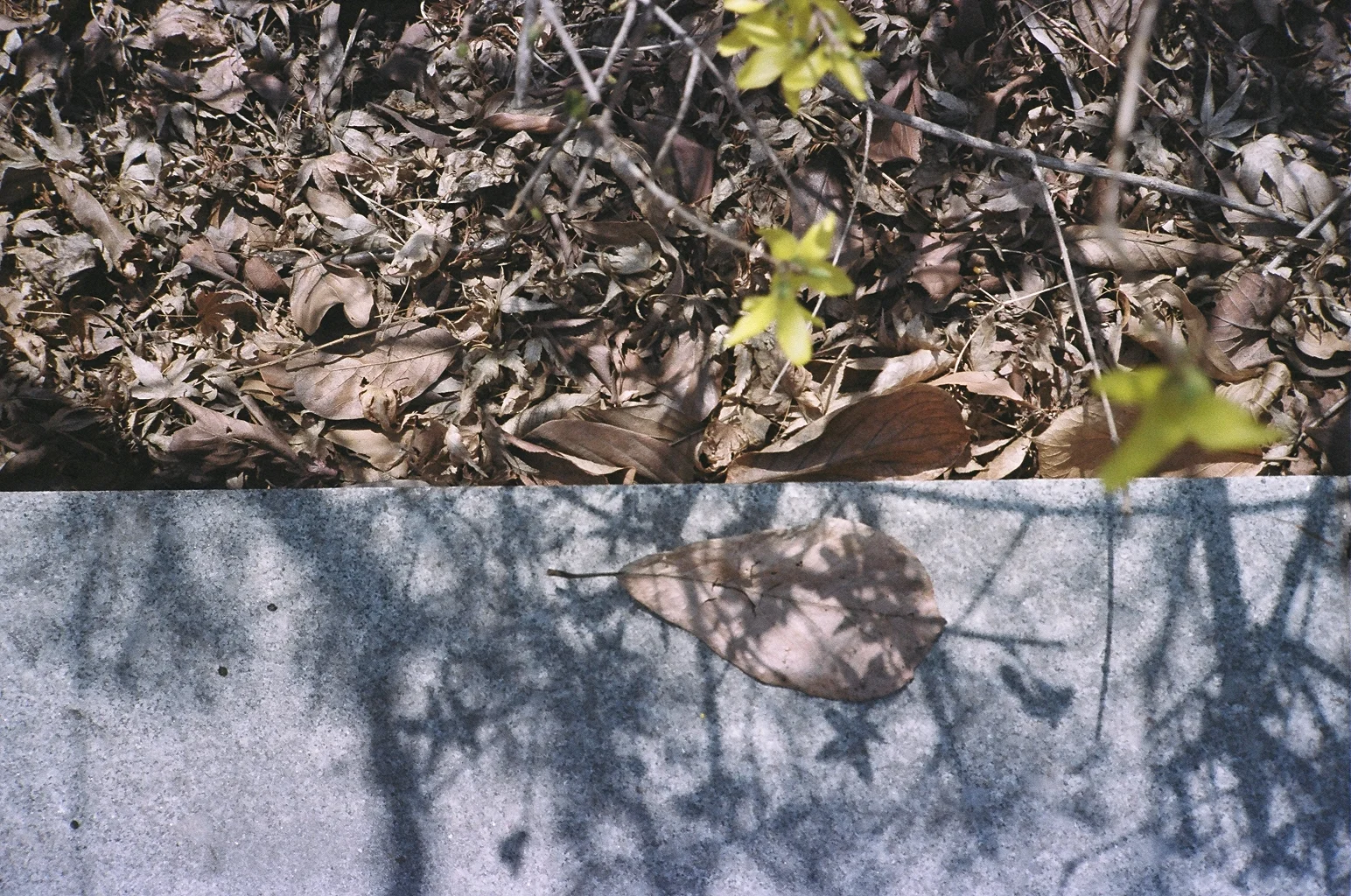 51410023.JPG