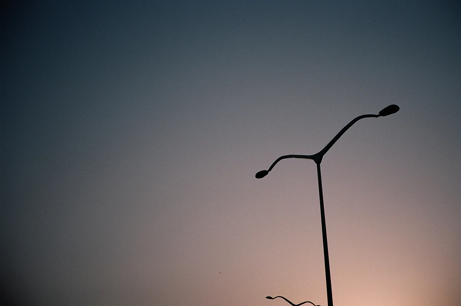 58680012.JPG