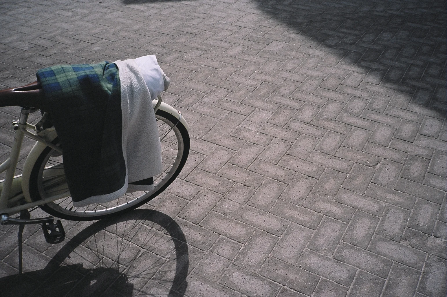 58680006.JPG
