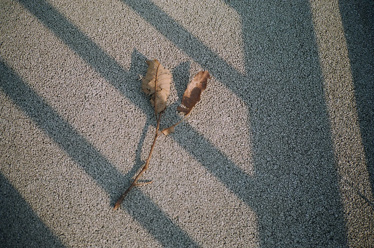 89600013.JPG