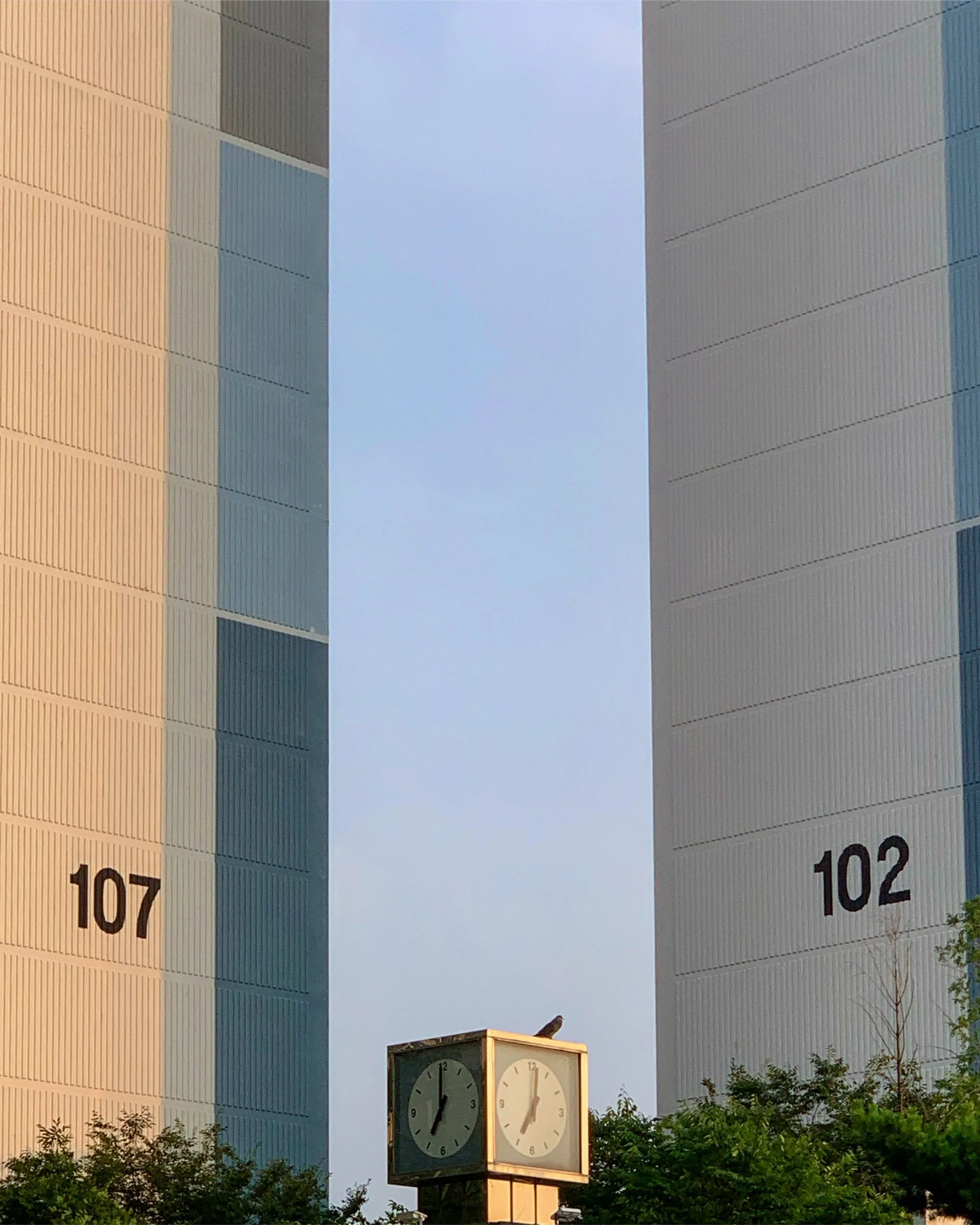 D924B022-48AC-4857-946D-5BDD0A835A43.jpeg