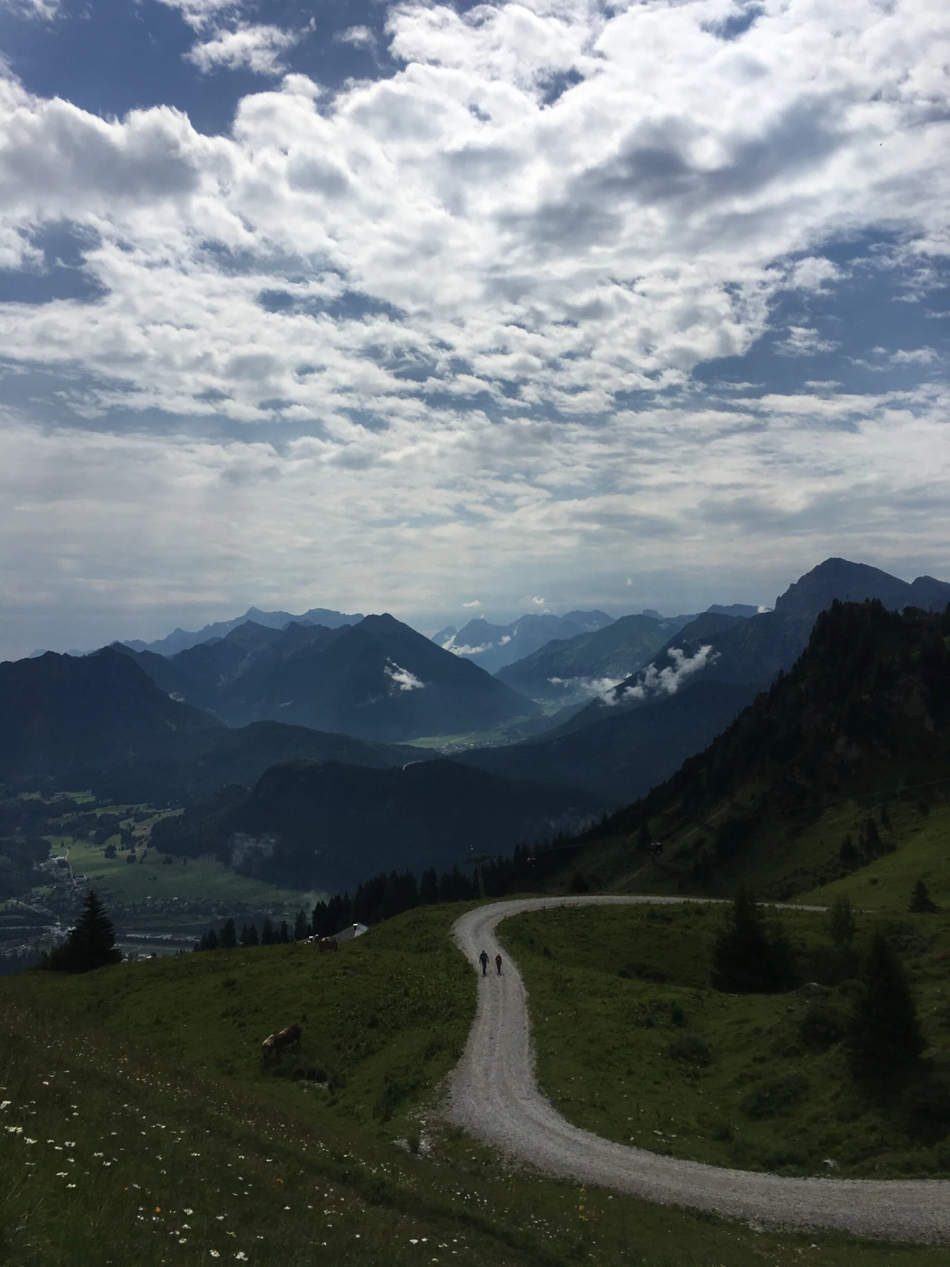 IMG_6253.jpeg