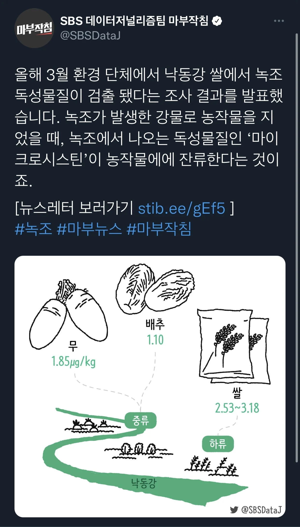 sbs2.jpg