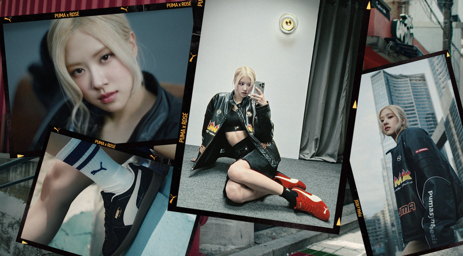 puma_cover.png
