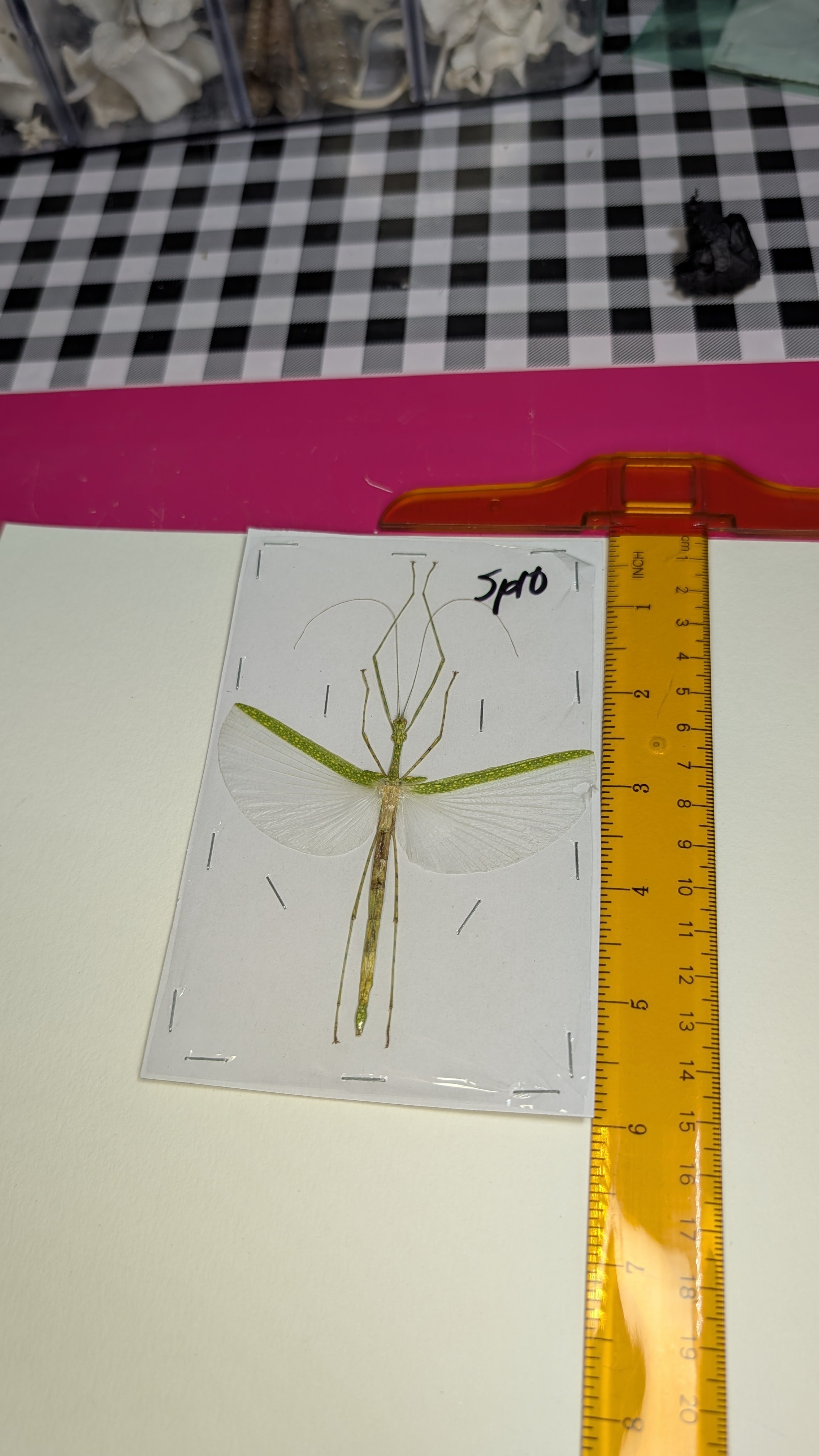 processed_d1d790e9763348e3b385fabb0b0ce286.jpeg