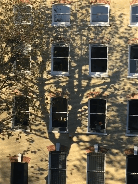 Tree shadow on building.