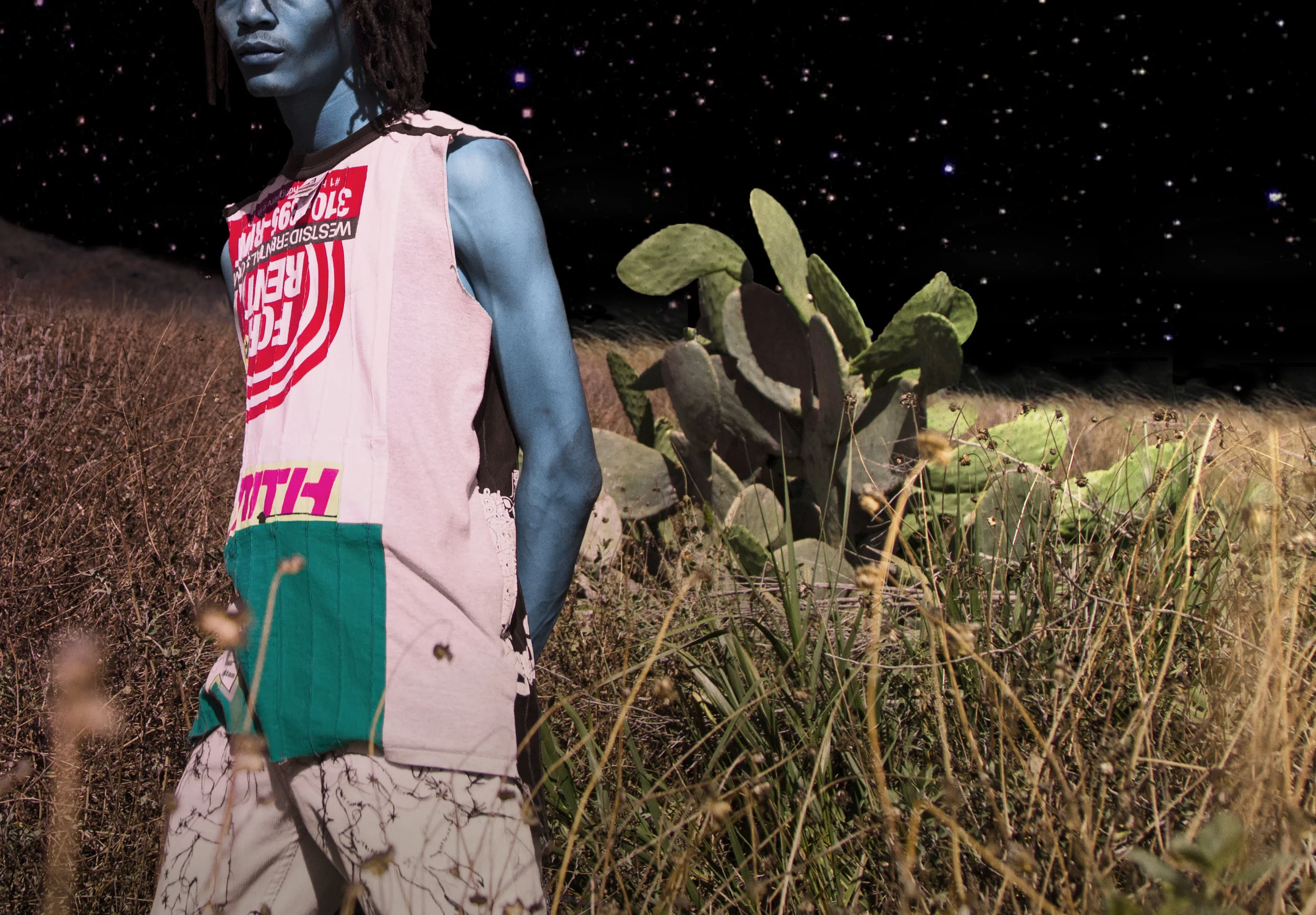 JPH_Blue_Field_Horiz_crop_2.jpg