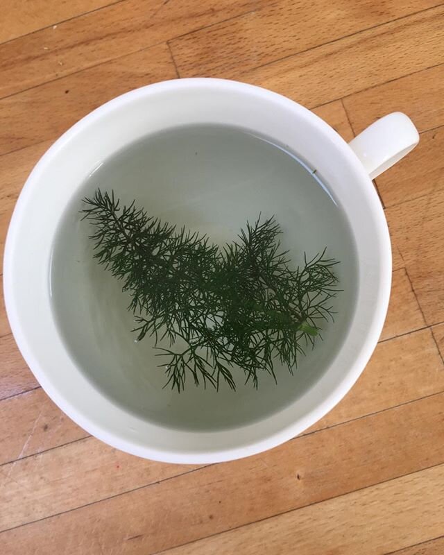 The beauty fennel tea