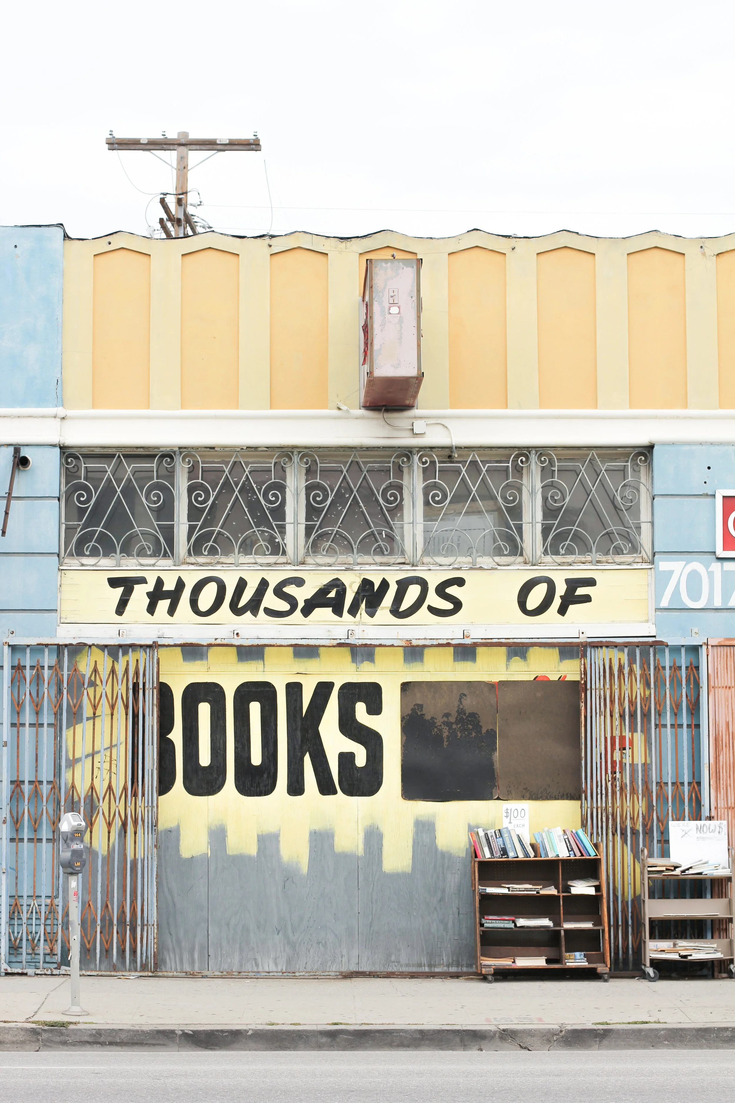 ThousandsofBooks_treecropslane.jpg
