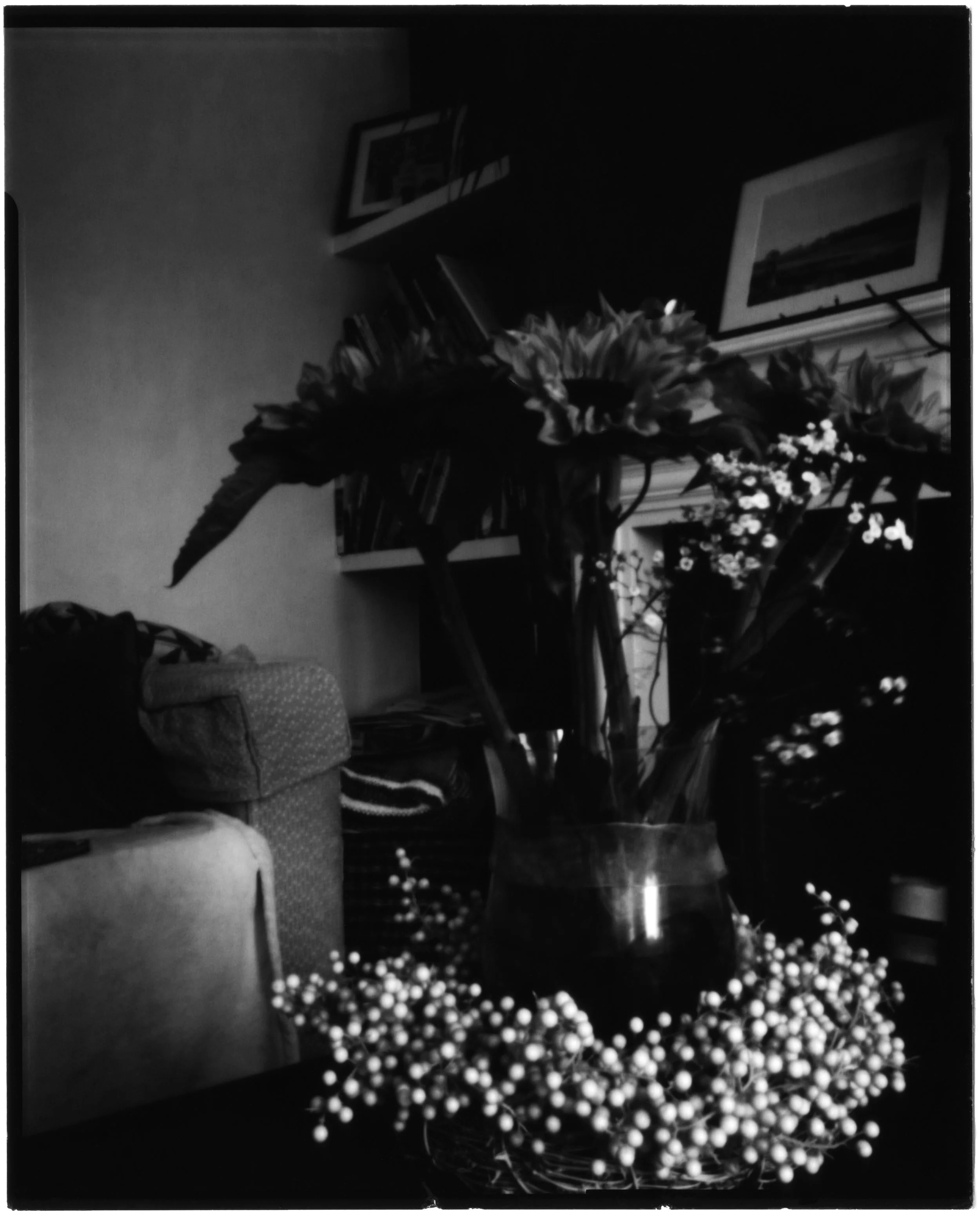 garden05.jpg