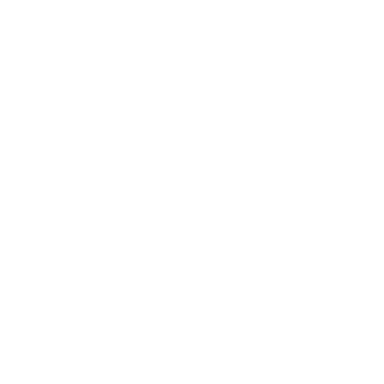 Plum Group