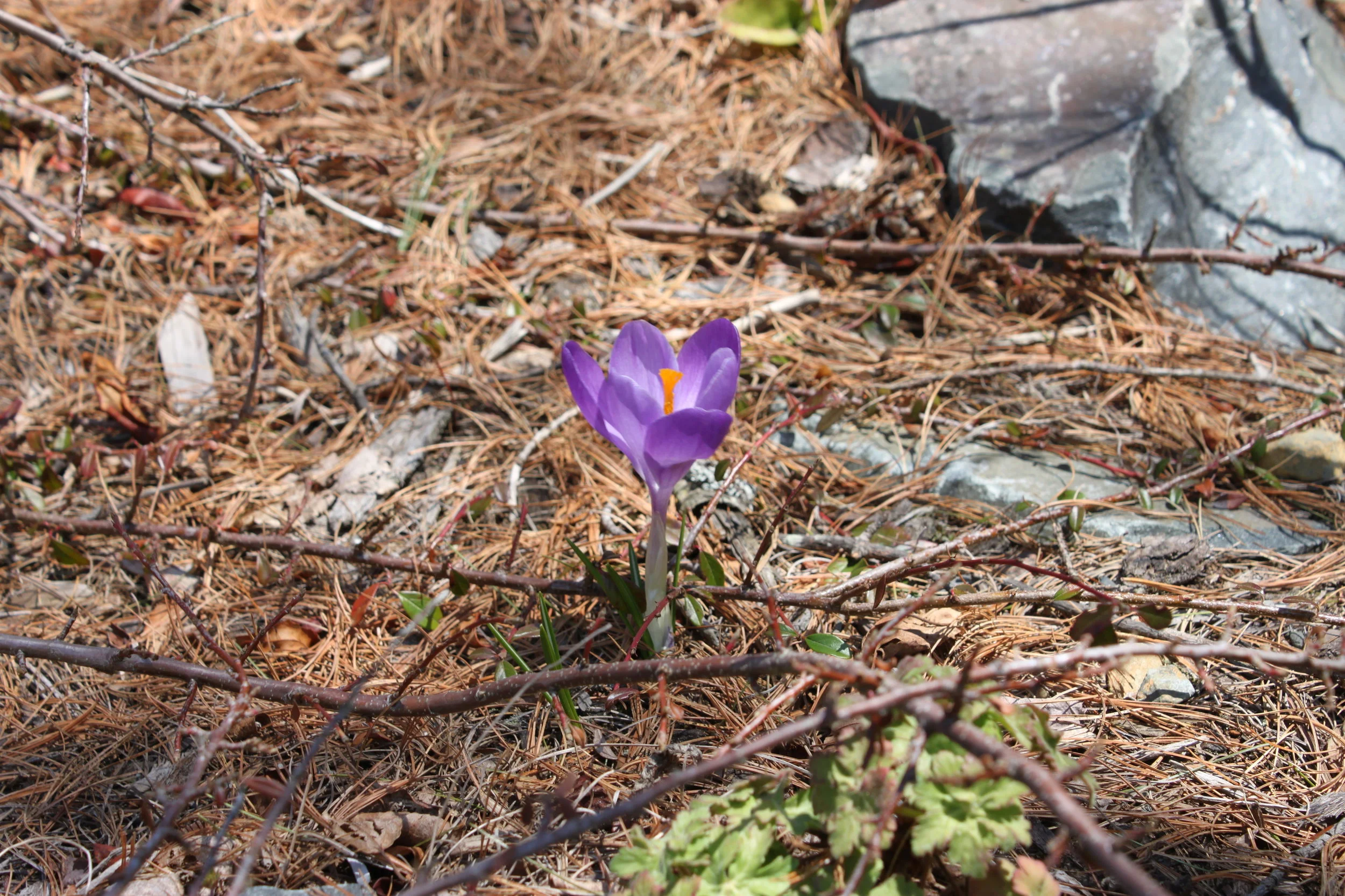 Spring has sprung!