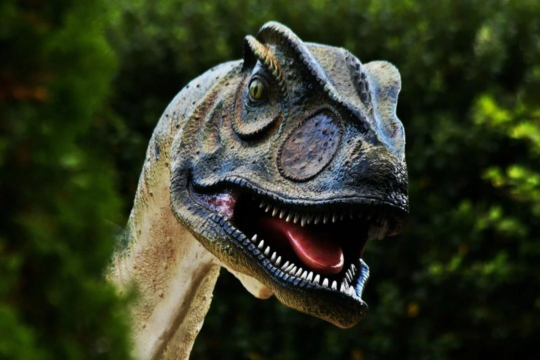 dino3.jpg