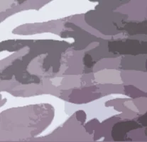 Light Camo.jpg