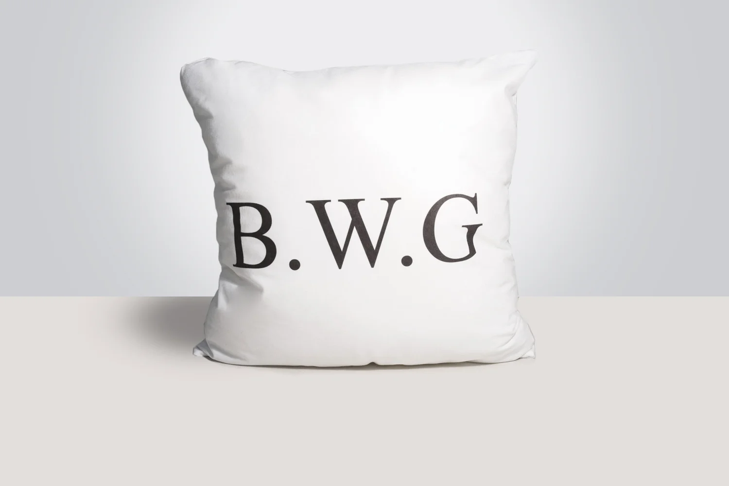 Classic BWG Suede Cushion.jpg