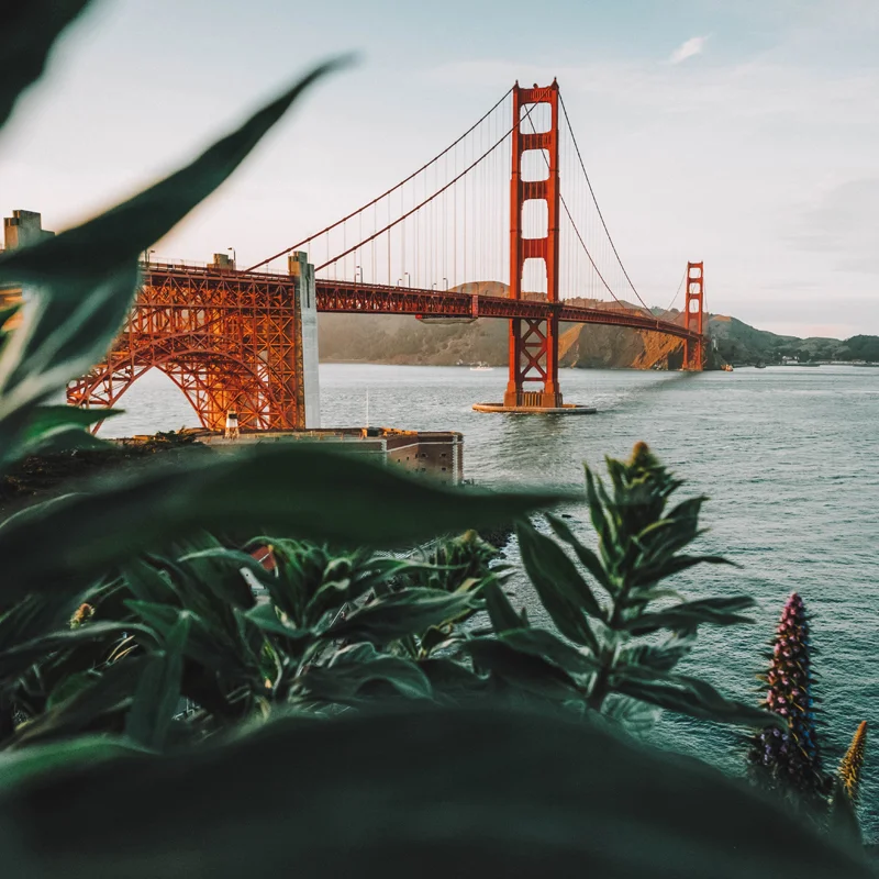 tim-foster-601009-unsplash.jpg