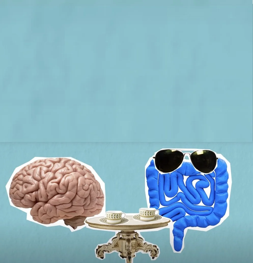 Le microbiote, un deuxième cerveau… vraiment ?