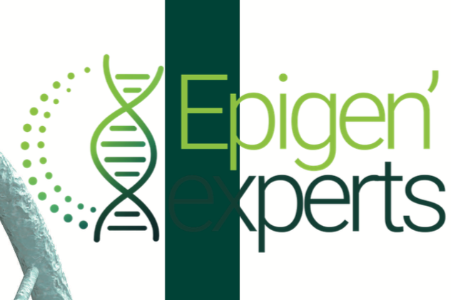 Epigen'experts : La première formation complète en épigénétique intégrative
