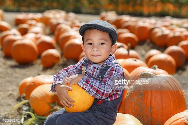 Photo by Jimmyhuynh/iStock / Getty Images