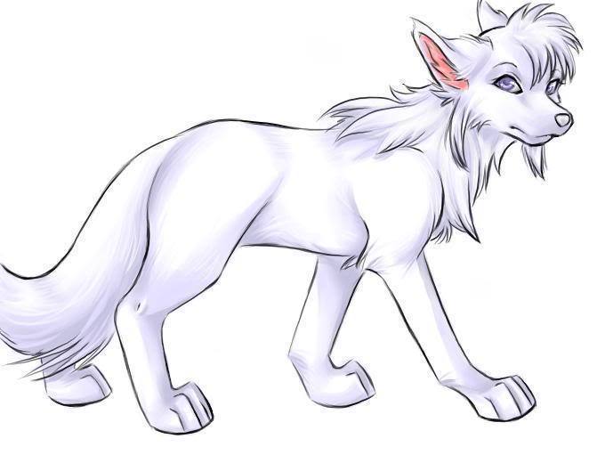 Cute-Wolf-Drawings-cute-wolf-zone-16877136-680-520.jpg